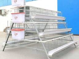 120 Bird Egg Laying Cage For Sale