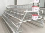 240 Bird Egg Laying Cage For Sale - photo 1