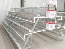 240 Bird Egg Laying Cage For Sale