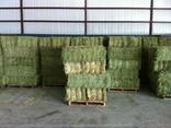 500 Bales of Large Round Mixed Grass
