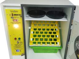 60 Egg Incubator and Hatcher For Sale