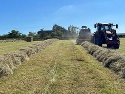 Alfalfa Hay Timothy For Sale