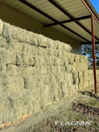 Bermuda Grass Hay for Sale