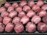 Best apples from Poland wholesale - photo 3