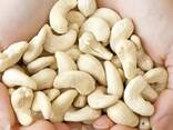 Cashew nut - photo 1
