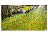 Certified Refined Sunflower Oil Vegetable Cooking Oil for Sale - фото 1