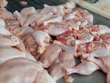 Chicken Drumsticks for sale - photo 2