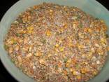 Chicken Feeds For Sale - photo 1