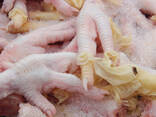 Chicken Gizzards 25 kg for sale - photo 3