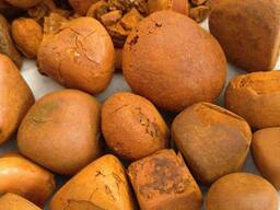 Available Cow Gallstones