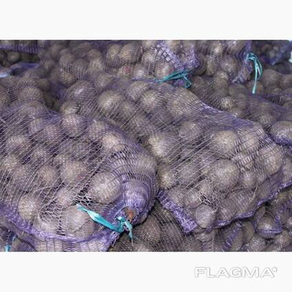 Ek verkoop bieten groothandel in Kazakstan