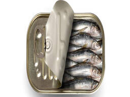 Hot Product frozen Horse mackerel fish Sardine fish In Stock