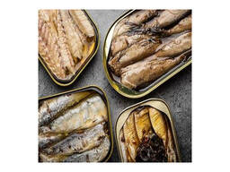 Frozen Sardines Packaged in Boxes or Bulk for Convenience