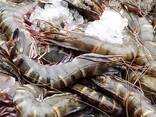 [Fish trawler Ghana], fishtrawler Accra - photo 7
