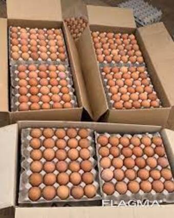 Farm fresh brown eggs