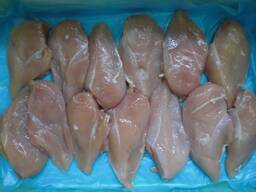 Frozen Chicken Breast for sale