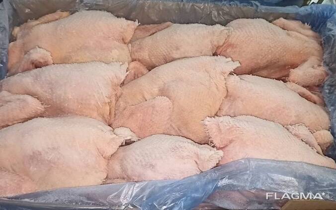 Frozen whole carcasses hens