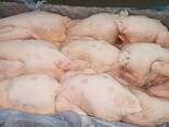 Frozen whole carcasses hens - photo 2