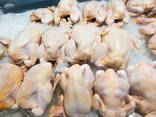 Frozen Whole Chicken — 25 kg - photo 2