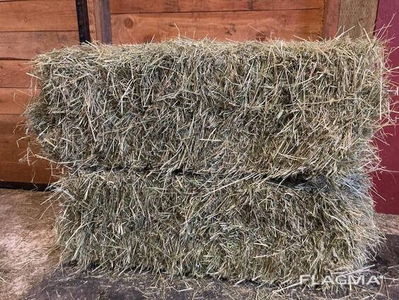 Grass Hay for Sale