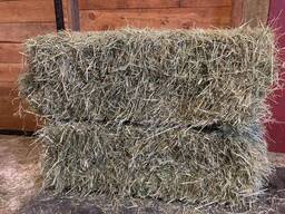 Grass Hay for Sale