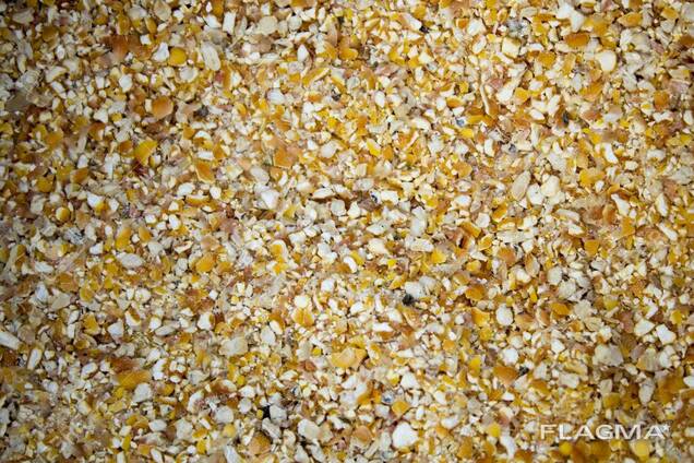 Grind Yellow Maize for sale