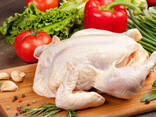 Halal Frozen Chicken, Thigh, Back quarter, Wings , Fillet IPBF , IQF, BF. Ukraine ! - photo 1