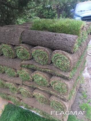Kentucky Bluegrass Hay for Sale
