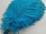 Ostrich feathers for sale - photo 1
