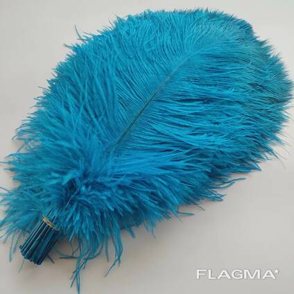 Ostrich feathers for sale