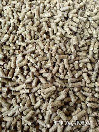 Protein Rich Supplement Feed for Sale