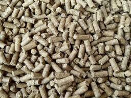 Protein Rich Supplement Feed for Sale