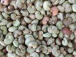 Raw cashew and other nuts for sale - photo 1