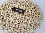 Raw cashew and other nuts for sale - photo 2