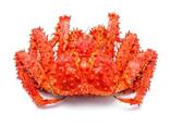 Red King Crab - photo 2