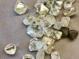 Rough Diamonds for sale