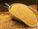 Soya Bean Meal for sale whatsapp - photo 1