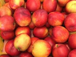 Sweet and juicy Peach, Nectarine and Cherry time.