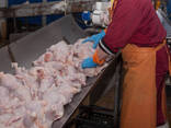 Chicken Gizzards 25 kg for sale - photo 2