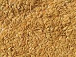 We offer our harvest of 2018: golden flax and confectionery - photo 1