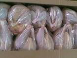 Whole Chicken for sale - photo 1