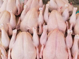 Wholesale Suppliers Premium Quality Halal Frozen Whole Chicken And Chicken Parts