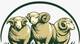 Mtas Livestocks pty ltd, LLC